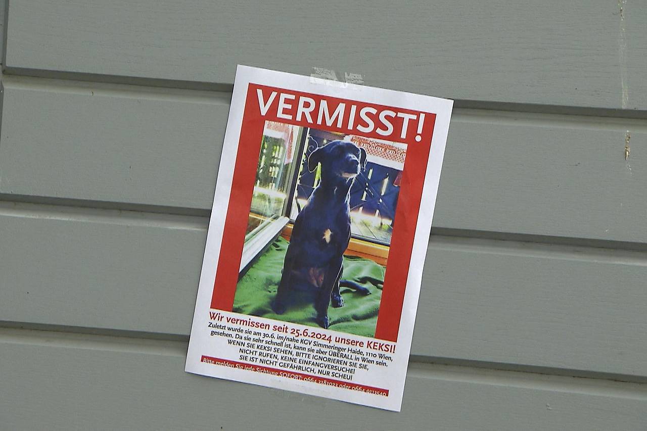 🐶 Keksi auf Tour 🐾