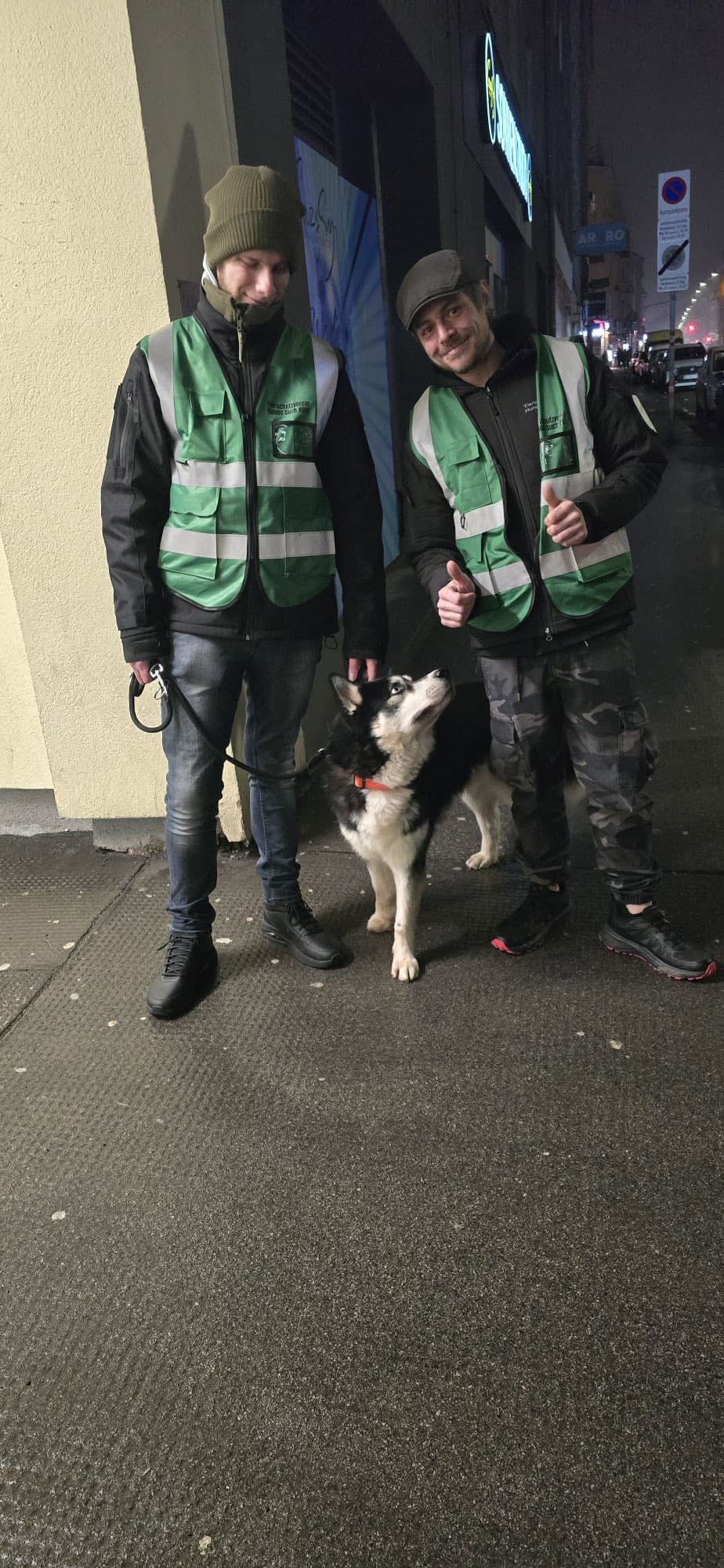 Husky in Wien von Besitzer „fast totgeschlagen“
