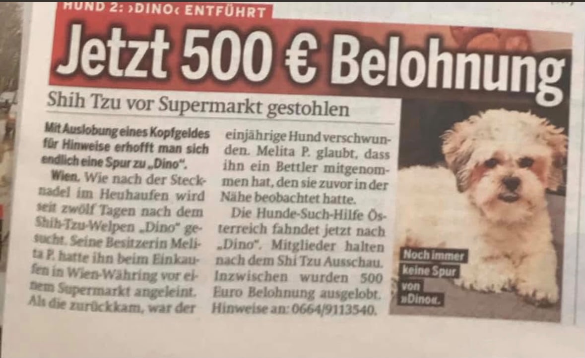 Auch Dino wurde gestohlen nachdem er vor einem Supermarkt im 18. Bezirk angebunden wurde.