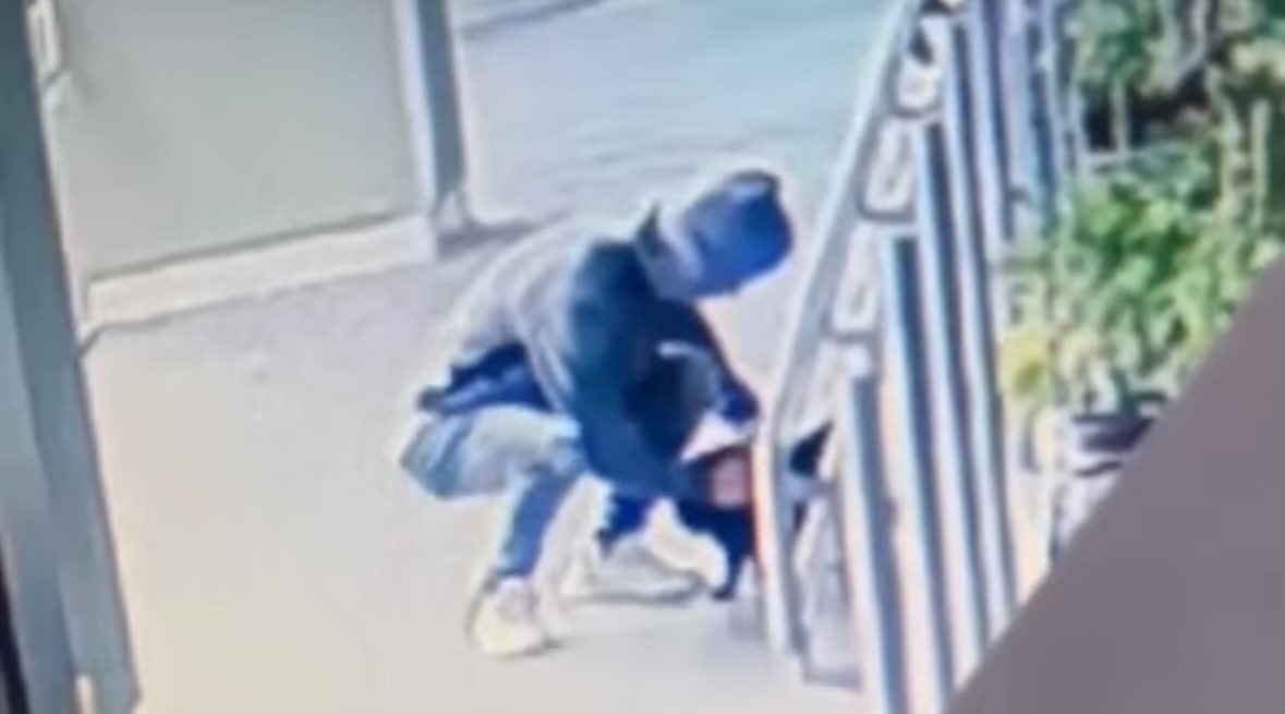 Original Video von Kiwis Diebstahl