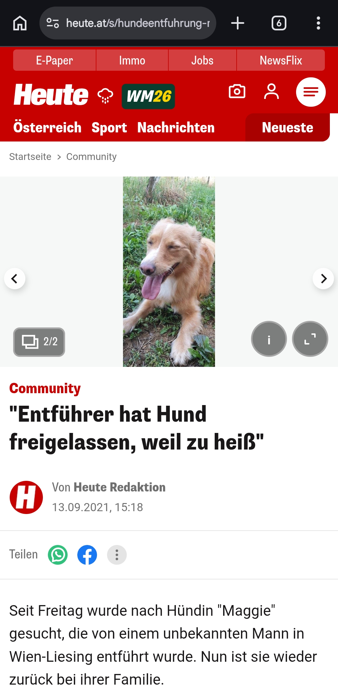 Entführer hat Hund wieder freigelassen!